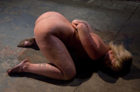 Sasha Knox pornstar naked gallery