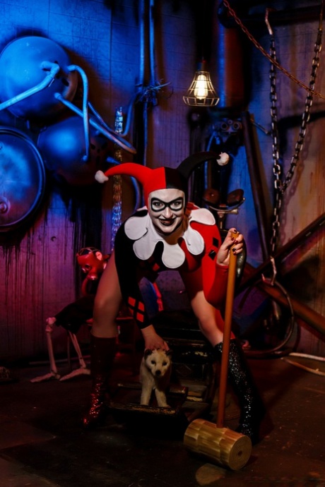 Harley Quinn perfect model archive