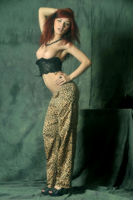 Diana Siefert star adult photos