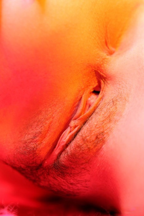 Kala Ferard pornstar sexy photos
